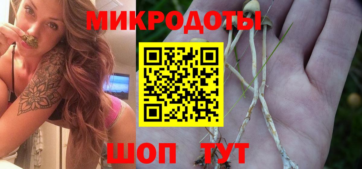 Краснотурьинск  Галлюциногенные грибы Psilocybine cubensis  Вход с VPN 